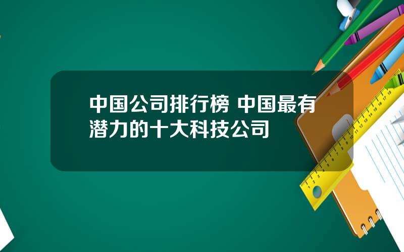 中国公司排行榜 中国最有潜力的十大科技公司